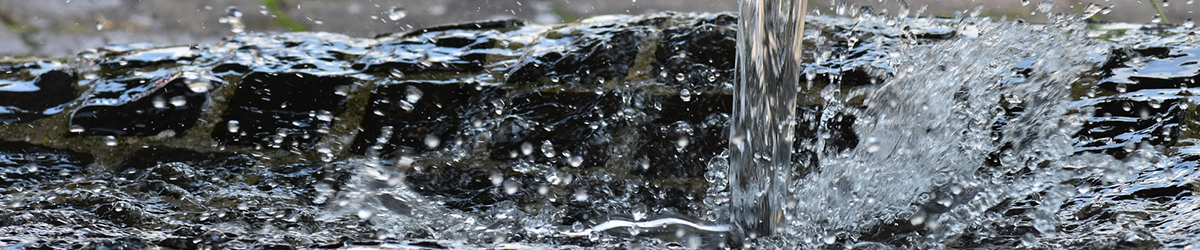 water-banner water-banner